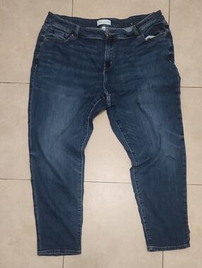 Lane Bryant Men's Slim Straight Jeans in Dark Indigo